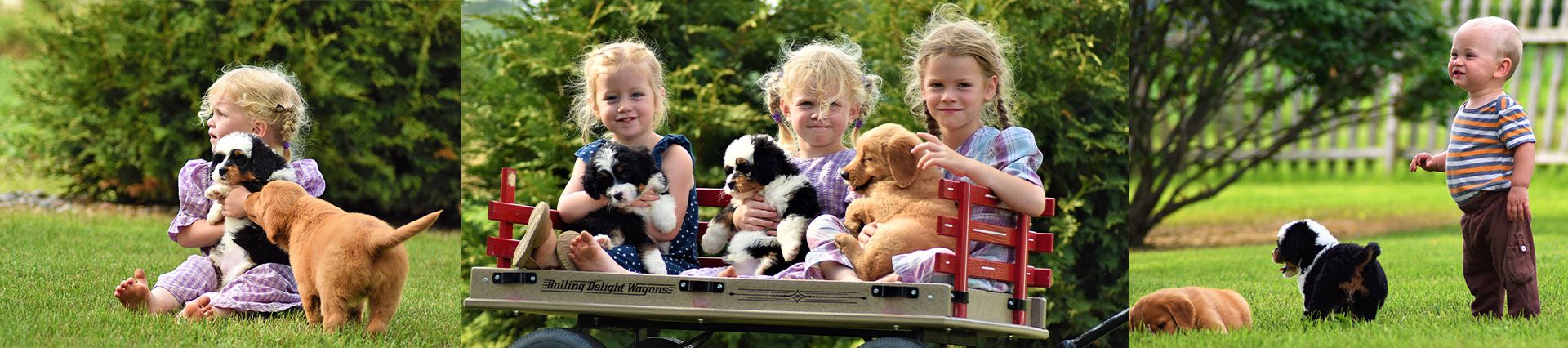 A collage of children and puppies